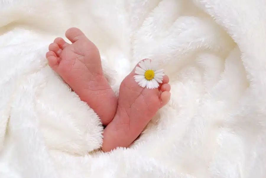 carte remerciement naissance